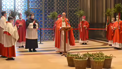 Eindrücke vom Pontifikalamt am Palmsonntag mit Erzbischof Woelki / © Beatrice Tomasetti (DR)