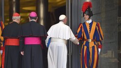 Dritte Synodenwoche: Der Papst begrüßt einen Gardisten / © Ettore Ferrari (dpa)