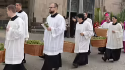 Seminaristen bei der Palm-Prozession 2019 von der Minoritenkirche zum Dom / © Beatrice Tomasetti (DR)