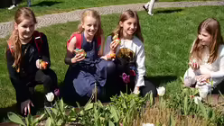 Überall in den Blumenbeeten des erzbischöflichen Gartens sind Ostereier und Osterhasen versteckt / © Beatrice Tomasetti (DR)
