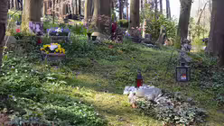 Überall zwischen den Bäumen finden sich Urnengräber. / © Beatrice Tomasetti (DR)