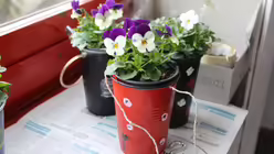 "Urban Gardening"-Workshop beim Firmtag in Siegburg / © Katharina Geiger (DR)