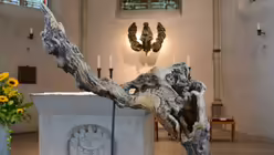 "Urgestein" hat die Künstlerin Beatrix Rey dieses Wurzelstück genannt. / © Tomasetti (DR)