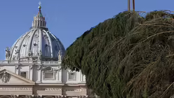 Deutscher Christbaum am Petersplatz / © Paul Haring (KNA)