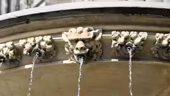 Wasserspeier am Petrusbrunnen / &copy; Melanie Trimborn (DR)