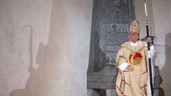 Weihe und Amtseinführung des neuen Augsburger Bischofs / © Karl-Josef Hildenbrand (dpa)
