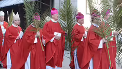 Weiterhin: Weihbischof Dominikus Schwaderlapp, Generalvikar Dominik Meiering und Domkapitular Hans-Josef Radermacher / © Beatrice Tomasetti (DR)