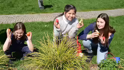 Wer suchet, der findet… / © Beatrice Tomasetti (DR)