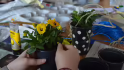 Workshop "Urban Gardening" beim Firmtag in Siegburg / © Eva Plettenberg (KJA)