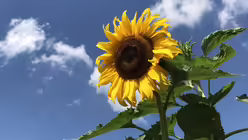 Zwischendrin gibt es immer wieder etwas zu entdecken / © Harald Oppitz (privat)